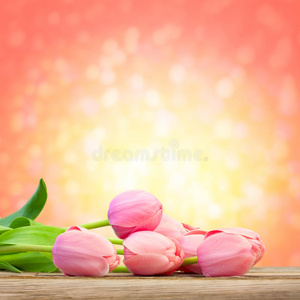 美丽的粉红色郁金香在神奇的散焦背景