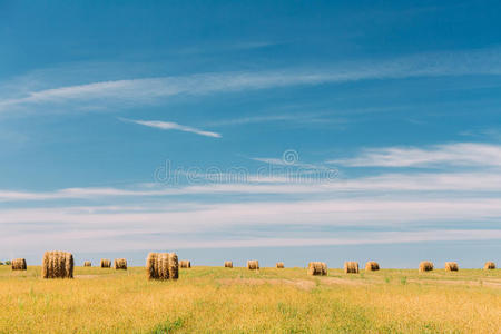 场景 大麦 作物 自然 干草 干草堆 天空 小麦 草地 稻草