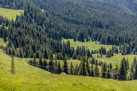 罗马尼亚喀尔巴阡山脉美丽的草地