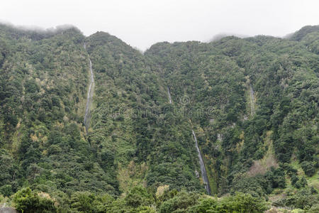 丘陵 生态系统 风景 空气 峡谷 高的 森林 环境 徒步旅行