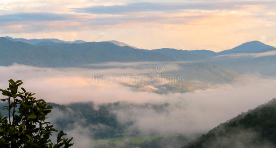 阴影 早晨 风景 季节 朦胧 植物 泰国 轮廓 森林 日出