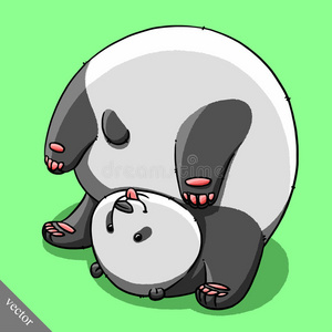 胖熊有趣的卡通可爱的胖熊猫熊插图照片