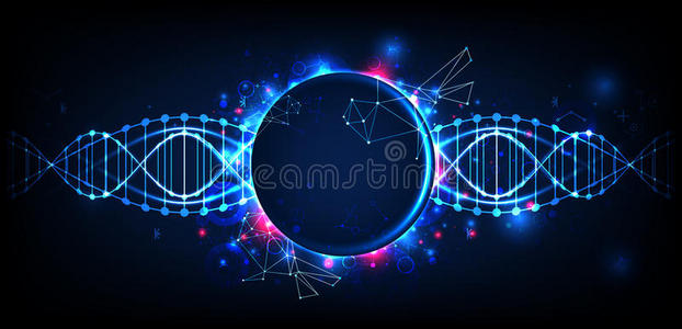 身体 人类 细胞 图表 染色体 基因 化学 生物技术 基因组