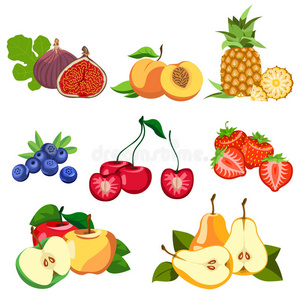 水果 收集 无花果 食物 斯特拉 饮食 菠萝 甜点 营养