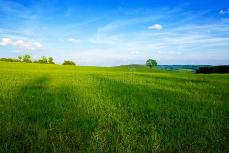 生态学 夏天 美丽的 云景 木材 草地 地平线 领域 环境