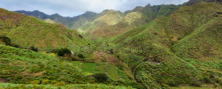 美丽的特纳里夫景观阿纳加山