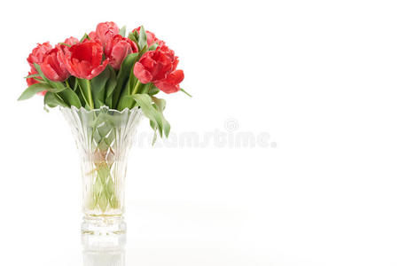 一束红色的新鲜春天郁金香花在花瓶的左边。