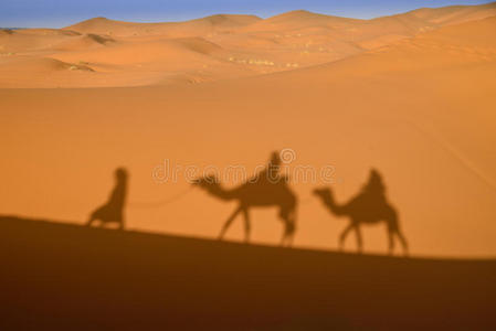 摩洛哥撒哈拉沙漠上的骆驼阴影。