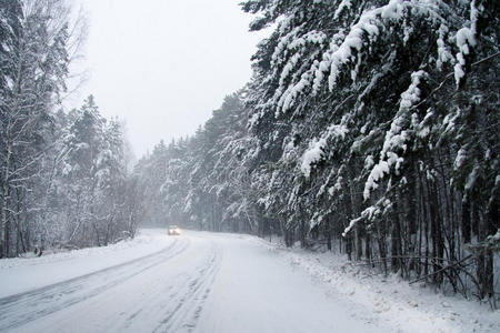 天空 俄罗斯 气候 场景 季节 一月 公路 冷杉 松木 森林