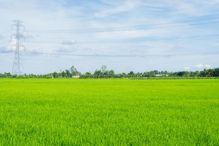 蓝天和草地