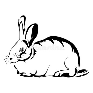 形象 素描 美女 绘画 签名 生活 美丽的 野兔 卡通 概述