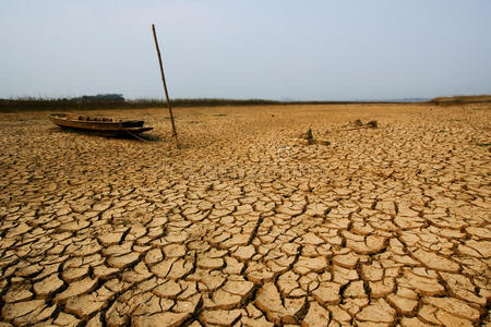 干旱地裂纹图片