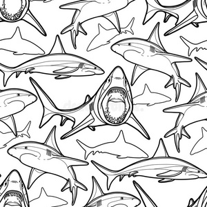 涂鸦鲨鱼图片