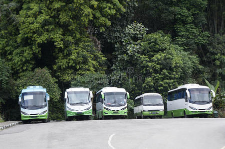 停车 开车 植物学 汽车 车辆 公园 公共汽车 旅行 木材