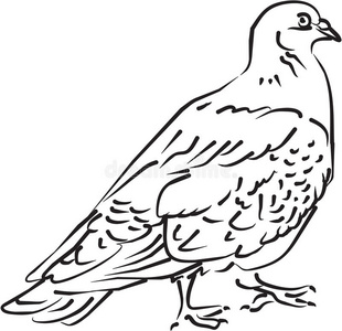 白鸽卡通图片-白鸽卡通素材-白鸽卡通插画-摄图新视界