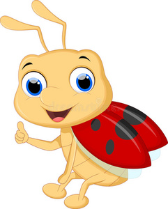 可爱的瓢虫卡通照片