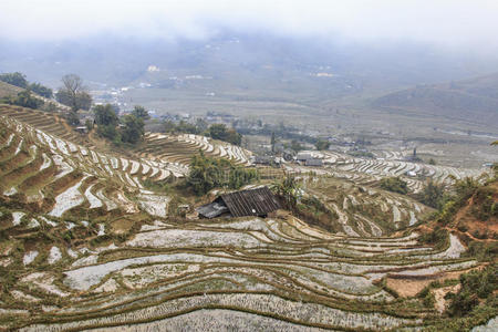 食物 农场 中南半岛 控制 地面 巴厘岛 瓷器 二月 环境