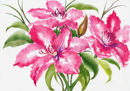 盛开 粉红色 花的 优雅 自然 颜色 花瓣 开花 花束 分支