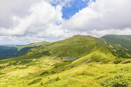 旅行 美丽的 环境 美女 草地 徒步旅行 雀巢 喀尔巴阡山