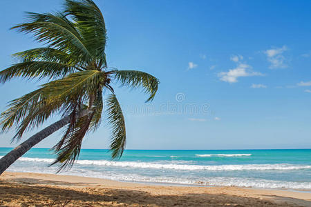 海滩 海景 泻湖 求助 自然 加勒比 旅游业 假日 夏天