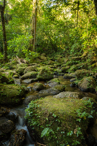 山河美景