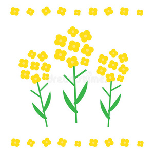 迷失在油菜花图片