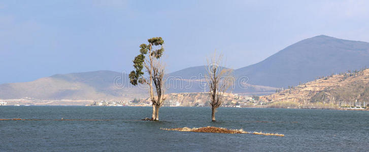 高原 洱海 美丽的 风景 云南 早晨 青海 大草原 瓷器