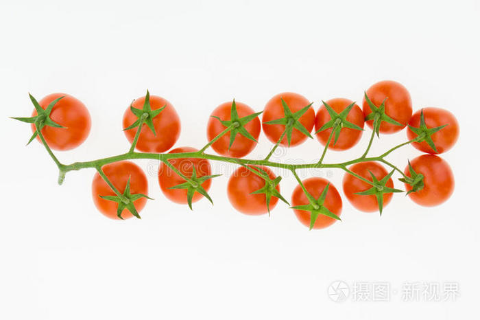 樱桃 特写镜头 演播室 收获 生产 西红柿 水果 厨房 生物