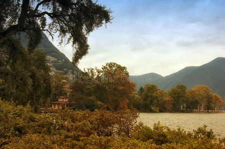 天际线 旅游业 天鹅 城市 风景 瑞士 假期 山腰 全景