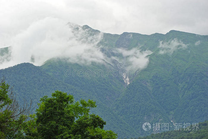 季节 美丽的 寒冷的 森林 旅游业 波利亚纳 俄罗斯 滑雪