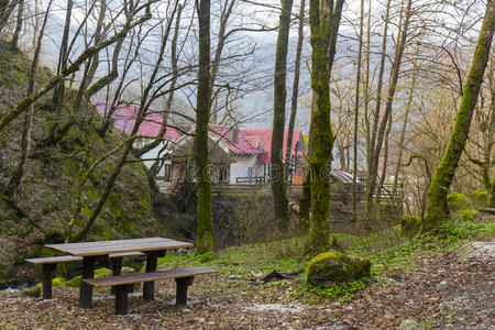 放松 野餐 季节 长凳 休息 旅行 美丽的 房子 小屋 春天