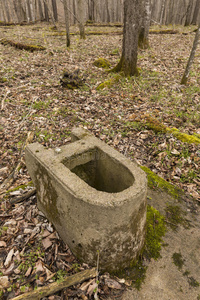 建造 厕所 建筑 混凝土 污垢 国家 空的 地板 浴室 骨折