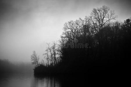 黑暗的树林和湖雾黑白相间