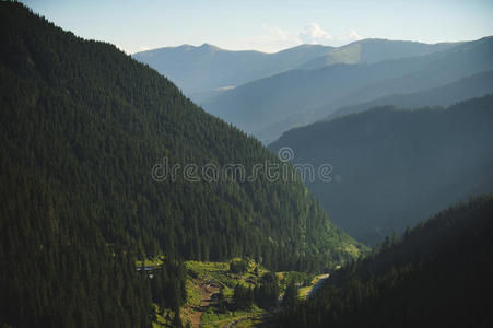 阳光 街道 云景 森林 小山 情景 土地 旅行 公路 空的