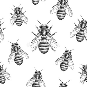蜜蜂的质地。 无缝图案。 真实的图形插图。 背景