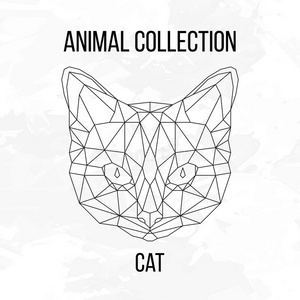 几何猫头照片
