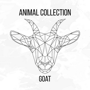 山羊头几何山羊头照片