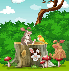 蘑菇 生物 形象 照片 领域 野生动物 森林 野兔 剪贴画