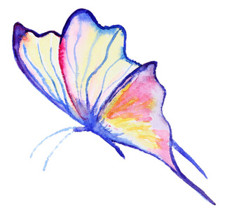 抽象水彩手绘蝴蝶
