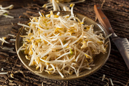 豆科植物 幼苗 美食家 种子 小吃 嫩枝 芒格 豆类 烹饪