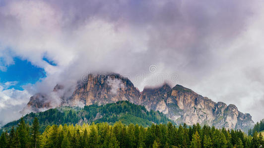 徒步旅行 范围 小山 公园 全景图 国家的 全景 意大利