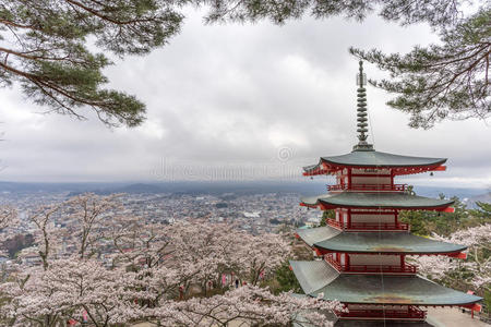 旅行 沃尔卡 粉红色 川崎 自然 日本人 天空 美丽的 日本