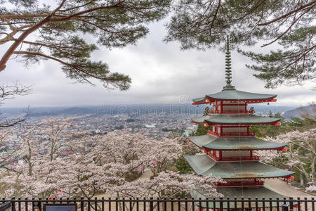 自然 调料品 暮光 樱花 寺庙 宝塔 天空 旅行 富士 樱桃