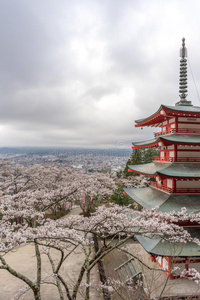 富士 天空 粉红色 寺庙 宝塔 开花 春天 山药 火山 川崎