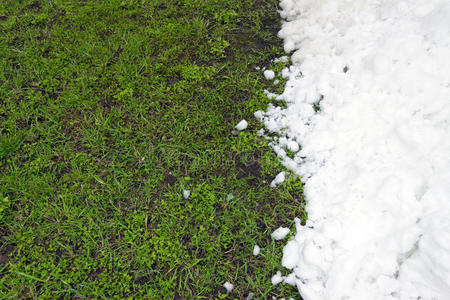 绿色的草和白色的雪