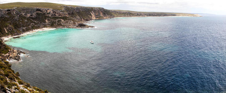 夏天 吸引力 风景 小海湾 澳大利亚 南方 假期 袋鼠 旅游业