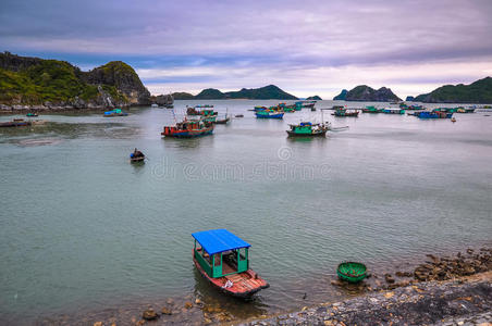 岛屿 海洋 钓鱼 森林 海岸线 场景 哈龙 海景 浮动 自然