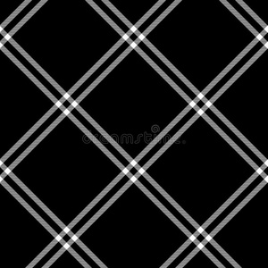 黑白格子传统面料无缝图案,矢量照片