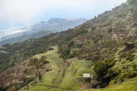 生态系统 森林 空气 风景 奥图 欧洲 天线 徒步旅行 绿色植物