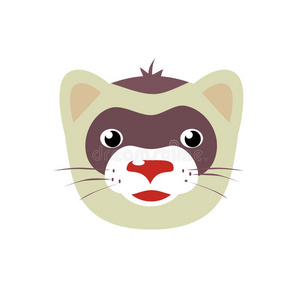 卡通雪貂动物面部矢量插图白色照片